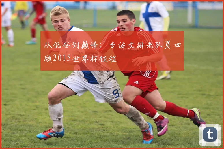 从低谷到巅峰：专访女排老队员回顾2015世界杯征程