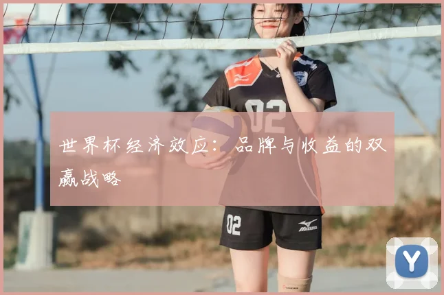 世界杯经济效应:品牌与收益的双赢战略