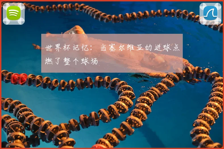 世界杯记忆:当塞尔维亚的进球点燃了整个球场