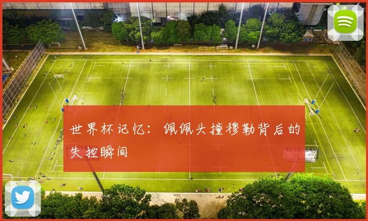 世界杯记忆：佩佩头撞穆勒背后的失控瞬间