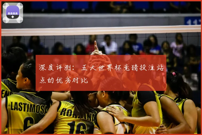 深度评测:五大世界杯竞猜投注站点的优劣对比