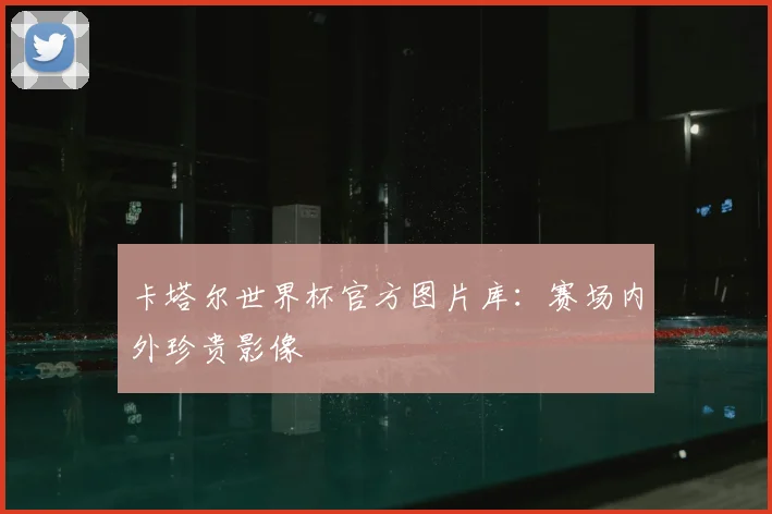 卡塔尔世界杯官方图片库：赛场内外珍贵影像