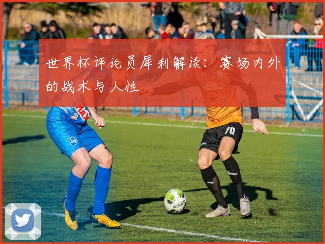 世界杯评论员犀利解读：赛场内外的战术与人性